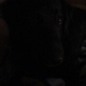 Meet your Posher, Nikki